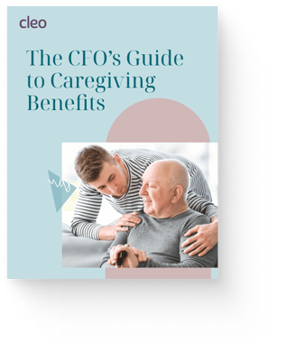 CFOs Guide Cover