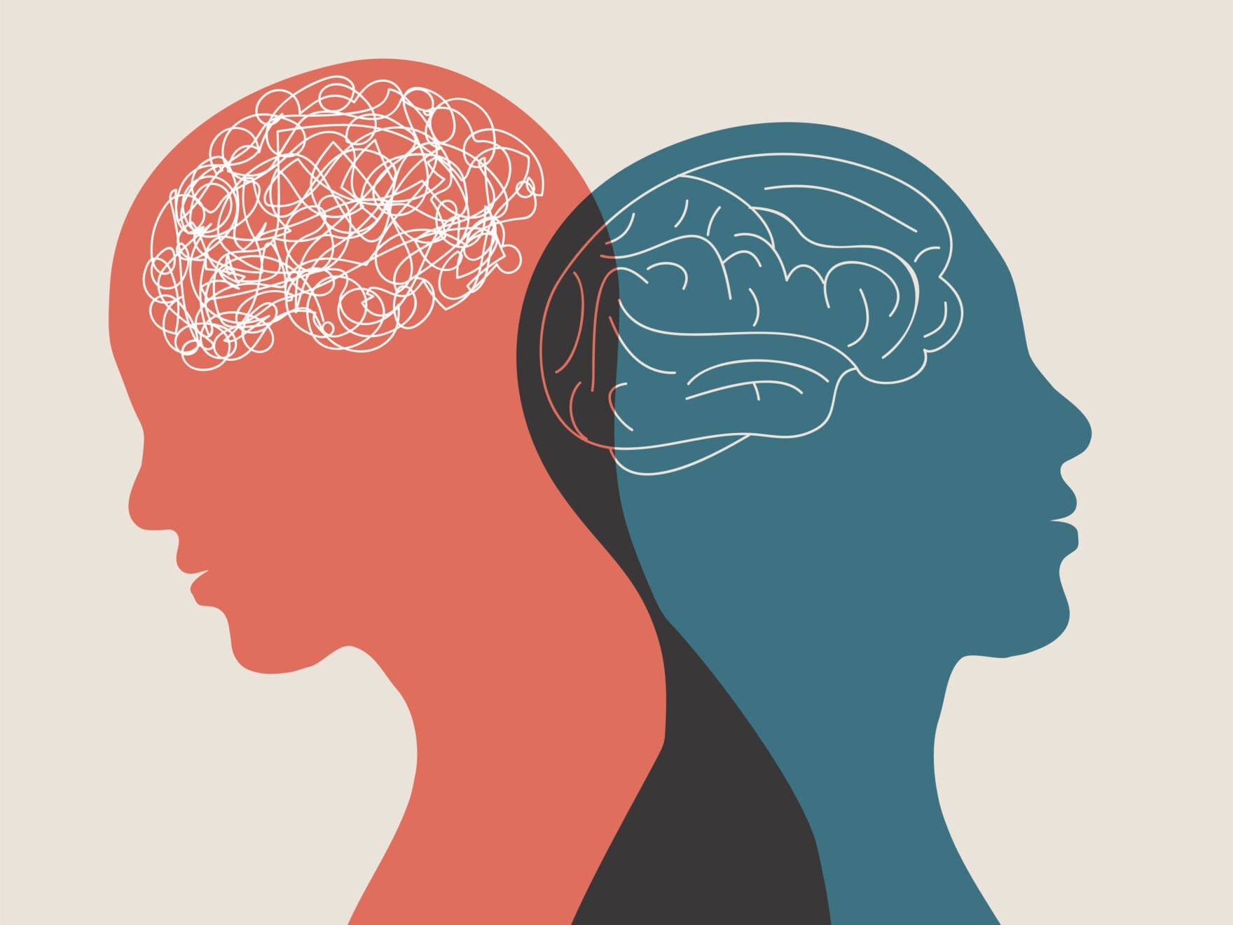 brain